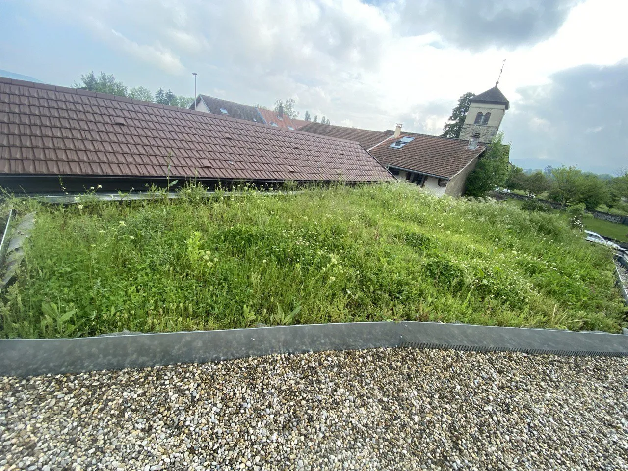 Toiture végétalisée livrée, bande de gravillons en rive