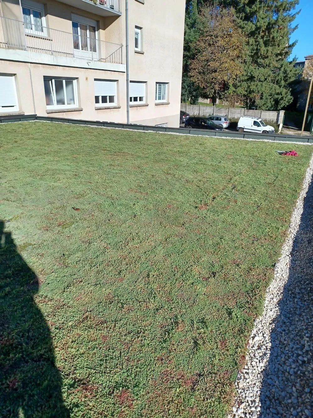 Terrasse végétalisée en sedum au pied d’un immeuble