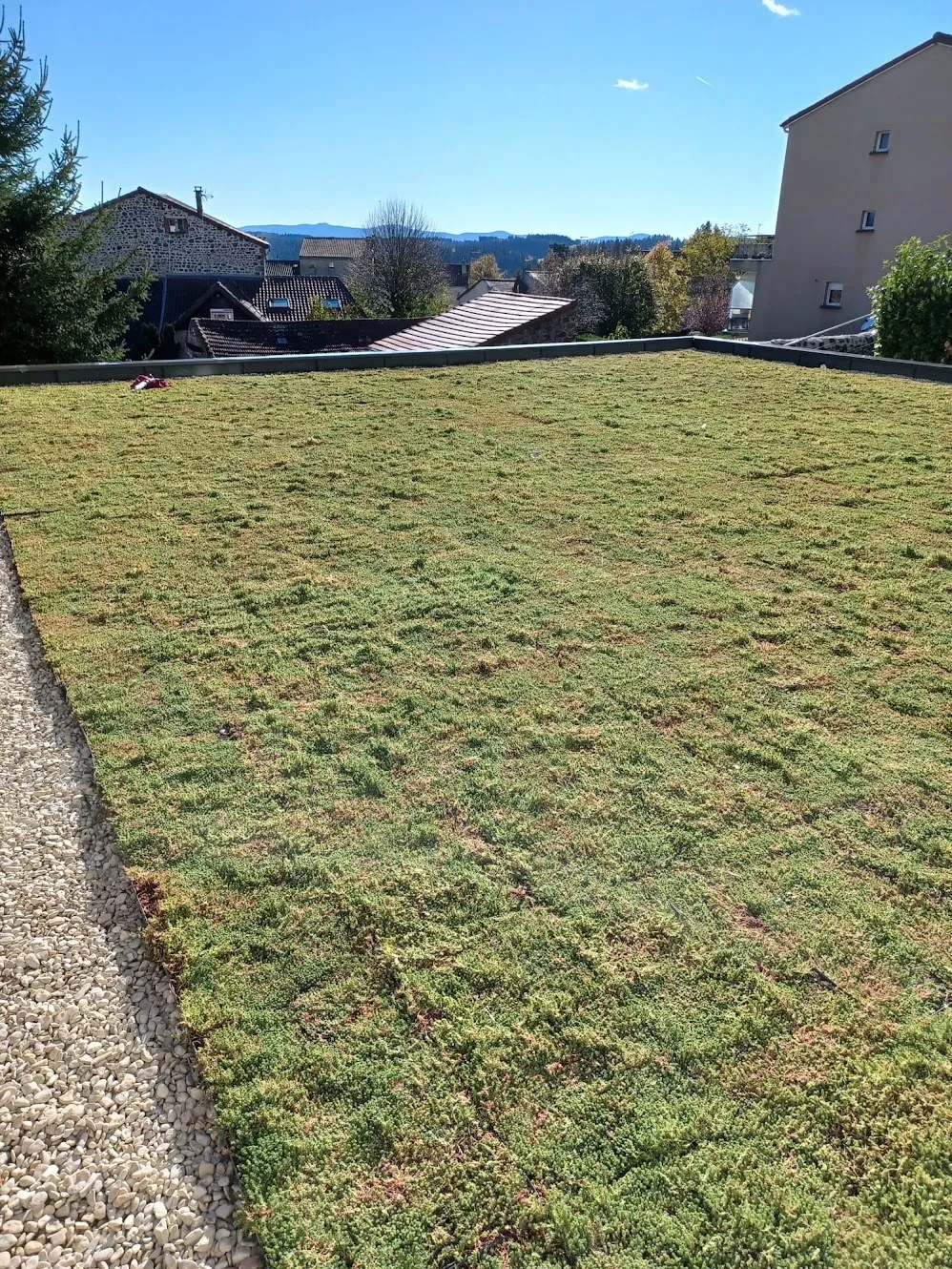 Toiture végétalisée en sedum bordée d’une bande de gravillons