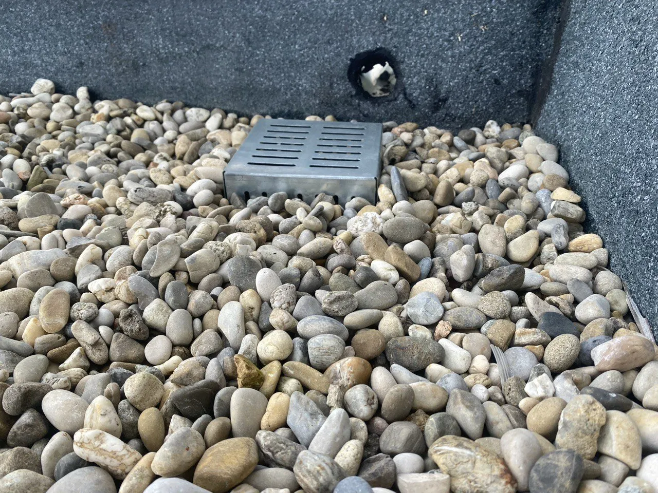 Crapaudine contrôlée dans sa cuvette de galets