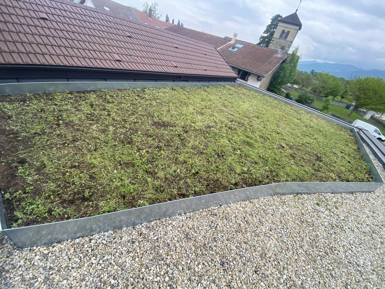 Sedum et séparateur métallique galvanisé